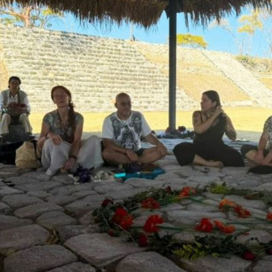 NEWSLETTER CUADROS (1)