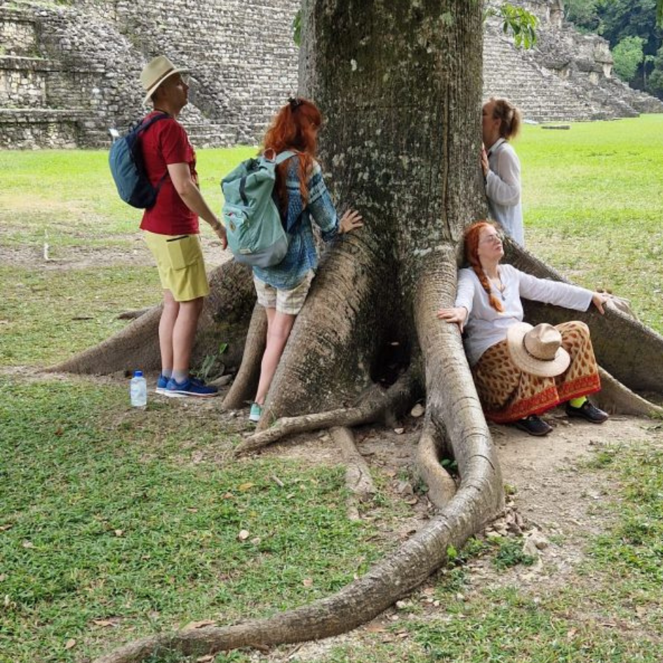 NEWSLETTER CUADROS (2)